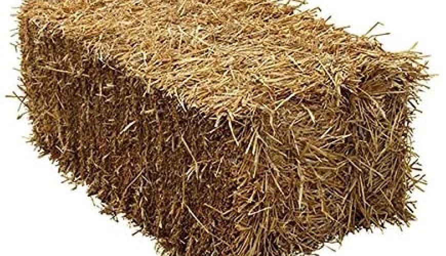 Prix De La Paille à La Tonne
